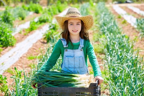 Little Girl in Veggie Field | Best Pediatric Dentist | Tiffin OH 44883 | Fluoride, Crowns, Emergency Dentist, Fillings for Kids, Tooth Extractions